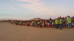 Liberación de Tortugas en Cabo San Lucas