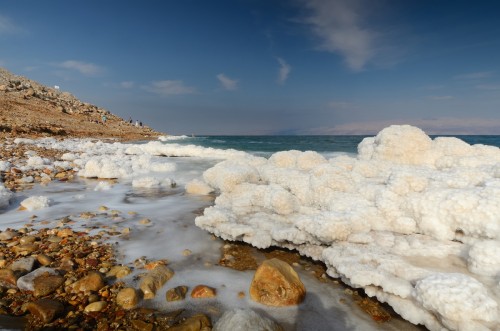 mar muerto en peligro de extinción
