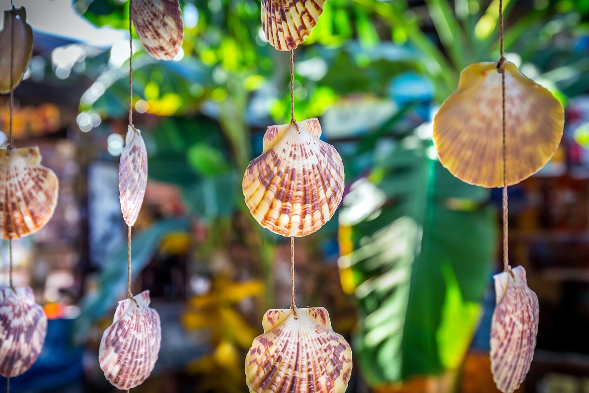 atracciones en Puerto Plata