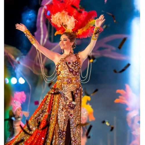 Reina del Carnaval-2014