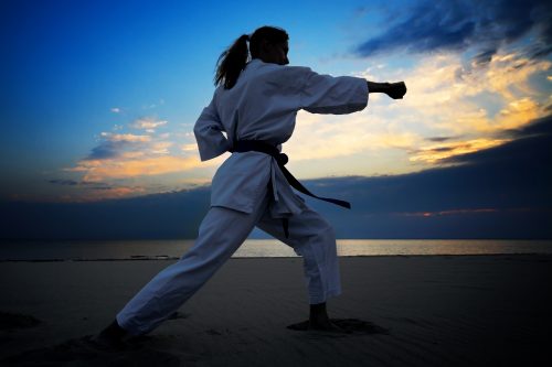 campeonato de karate en mazatlán