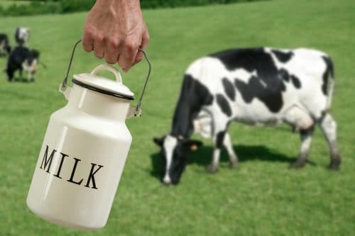 9 datos que tal vez no conoces sobre los lácteos [Parte 1]