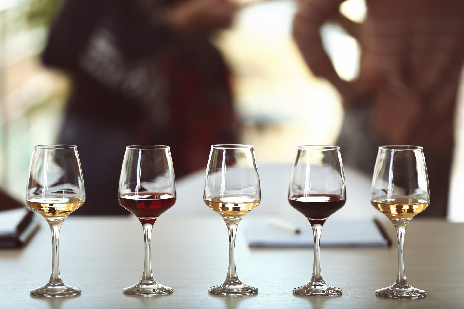 cata de vinos en Mazatlán