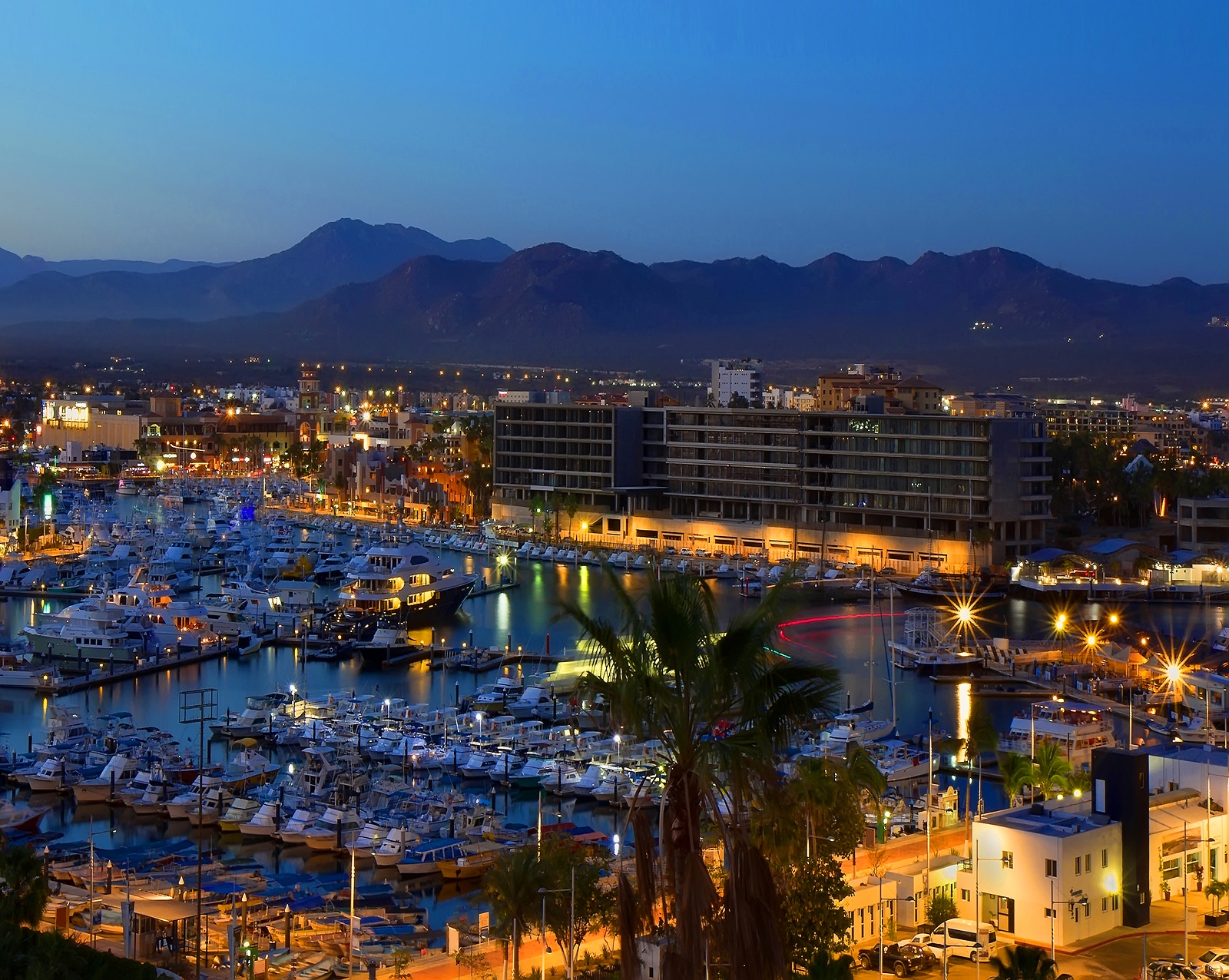 la mejor vida nocturna en cabo san lucas