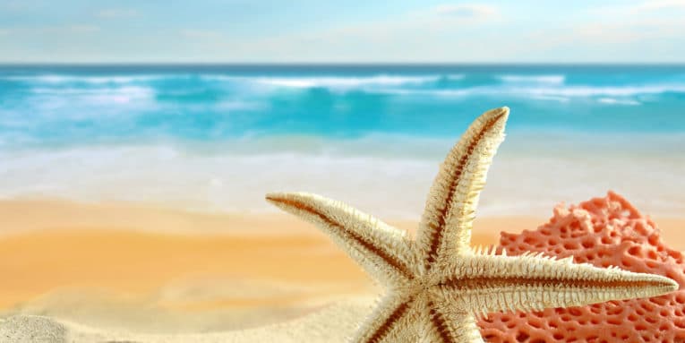 Explorers Travelers Club reporta que Cancún sigue siendo el destino premier de México