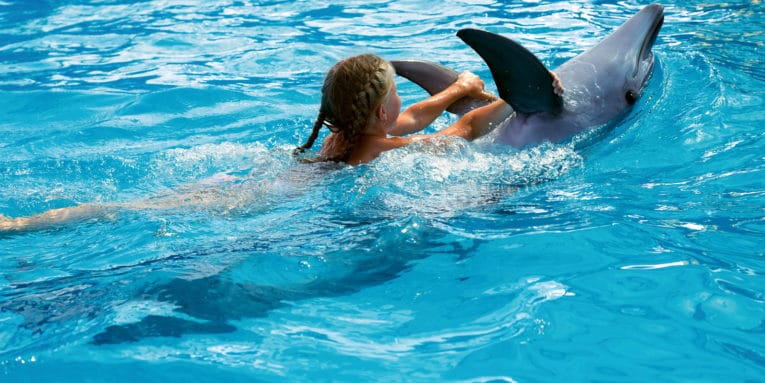 Hacienda Encantada Resort & Spa revela las mejores aventuras marinas disponibles en Cabo