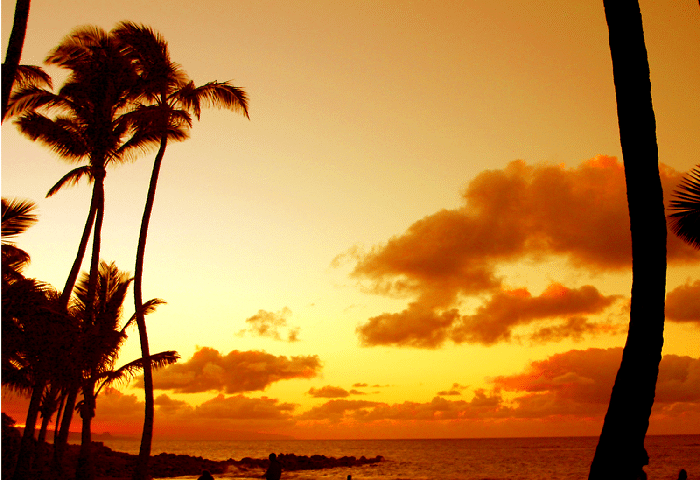 Hermoso Atardecer en Paia, Hawaii