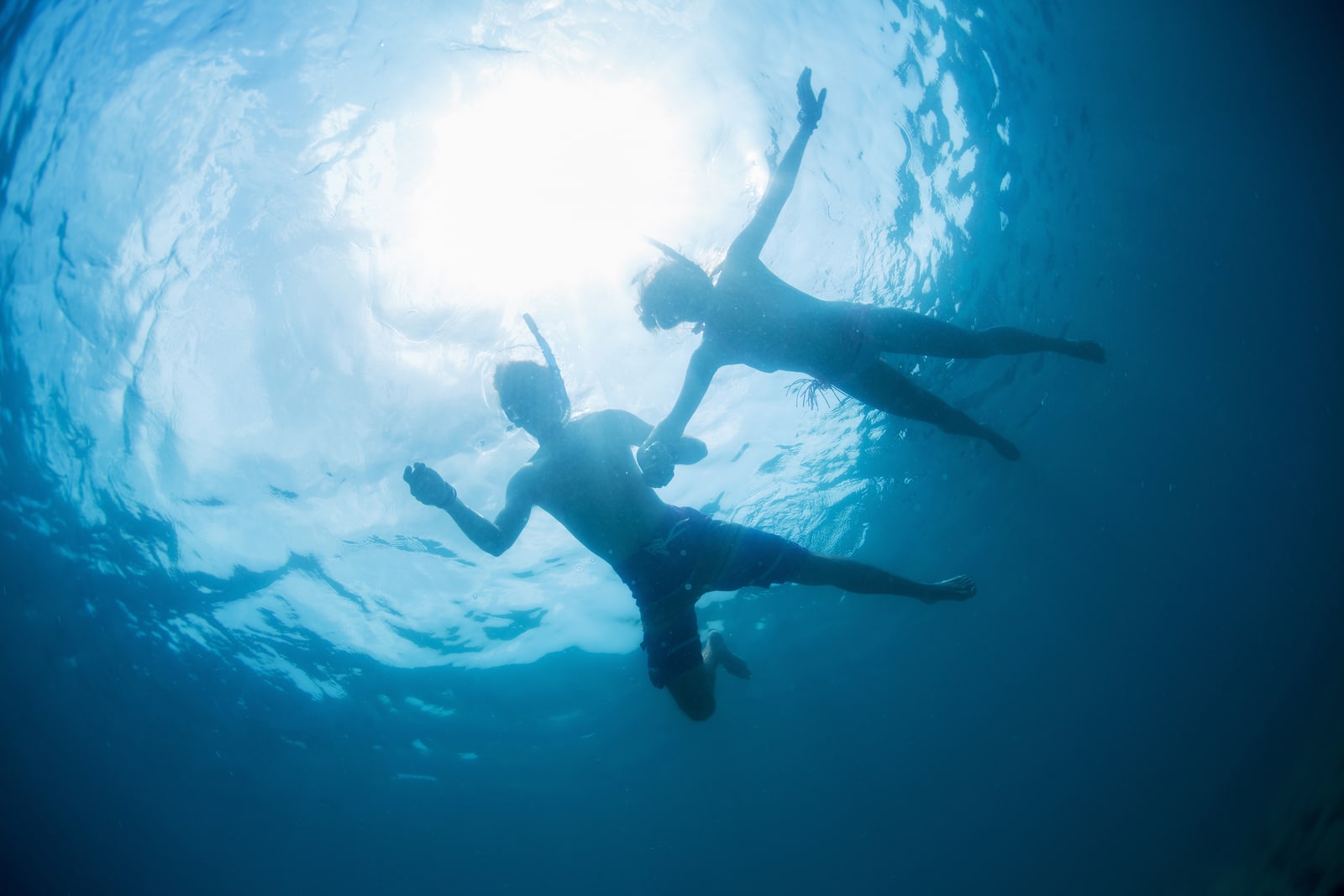 Expo de Buceo en Cozumel