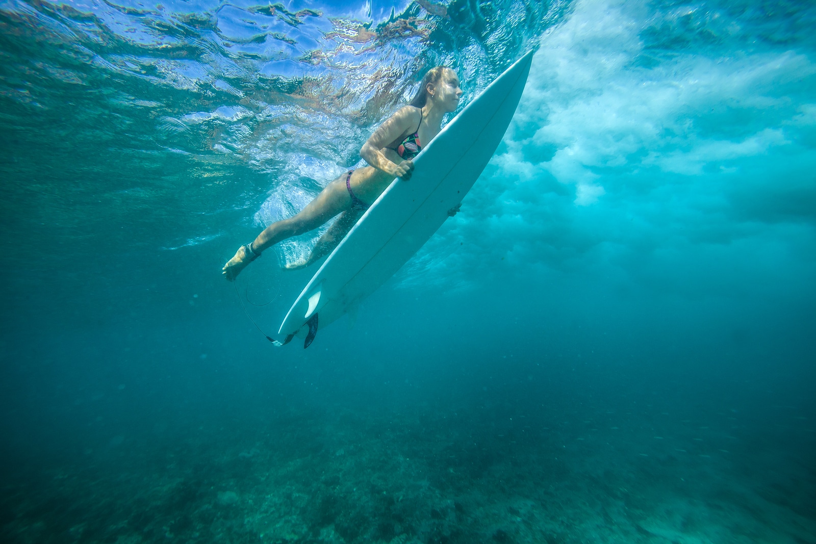 Abierto de Surf en Mazatlán 2015