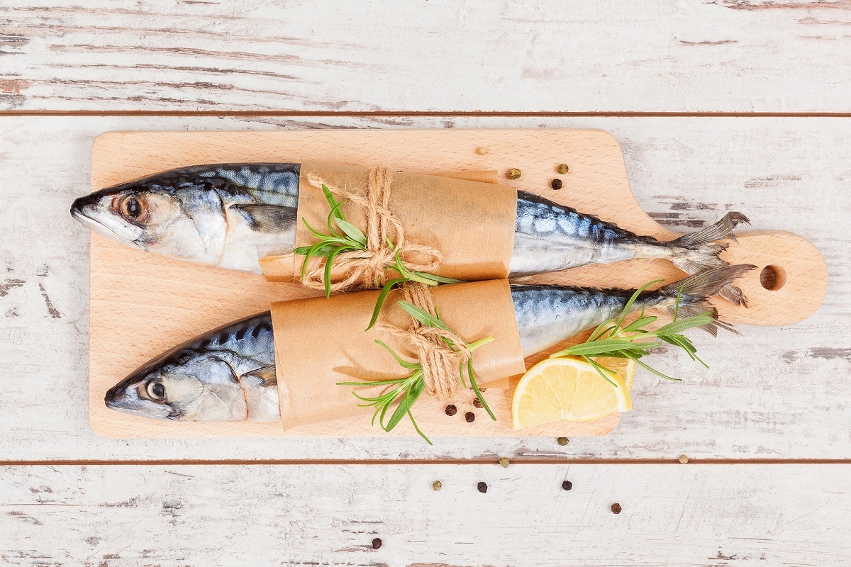 cocinar la pesca del día en cabo san lucas