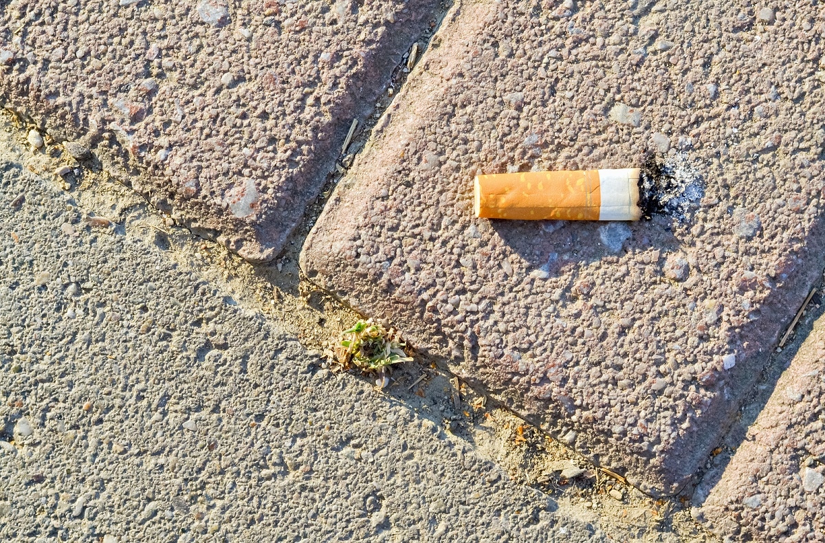 daños de tirar las colillas de cigarro en la calle