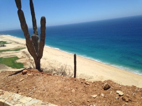 ¿Por qué el desierto resulta ser tan tentador como la playa en Los Cabos?