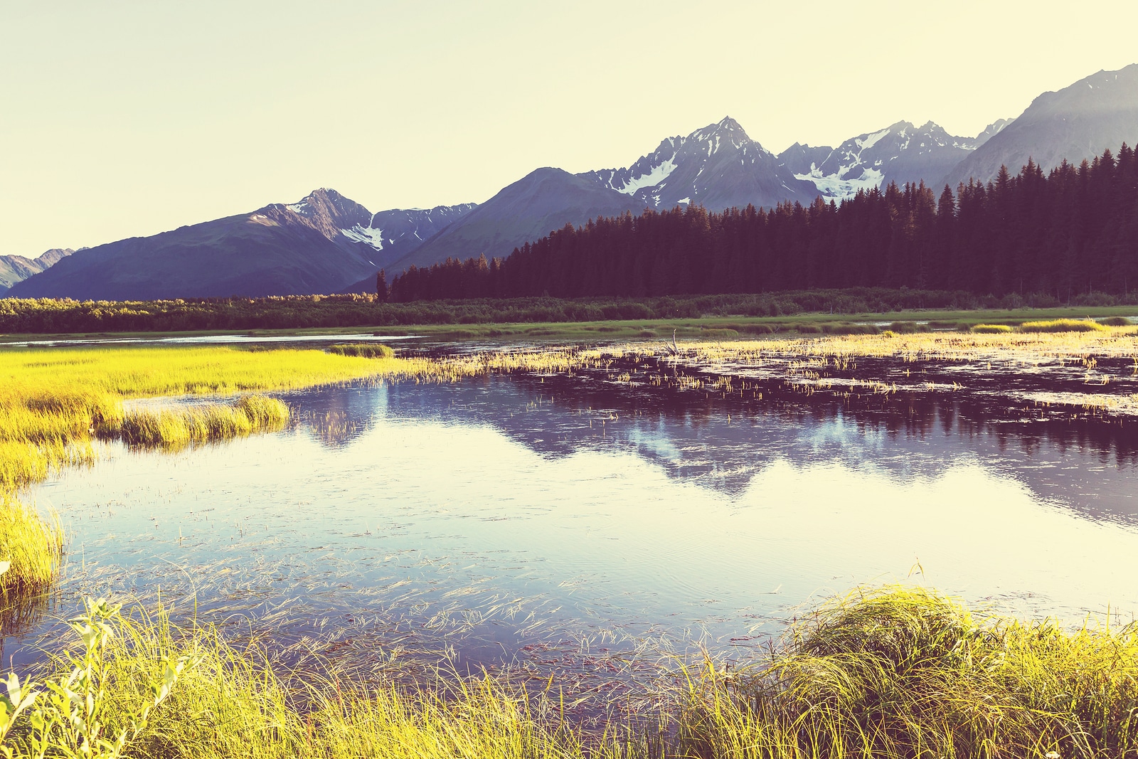 vacaciones de verano en alaska