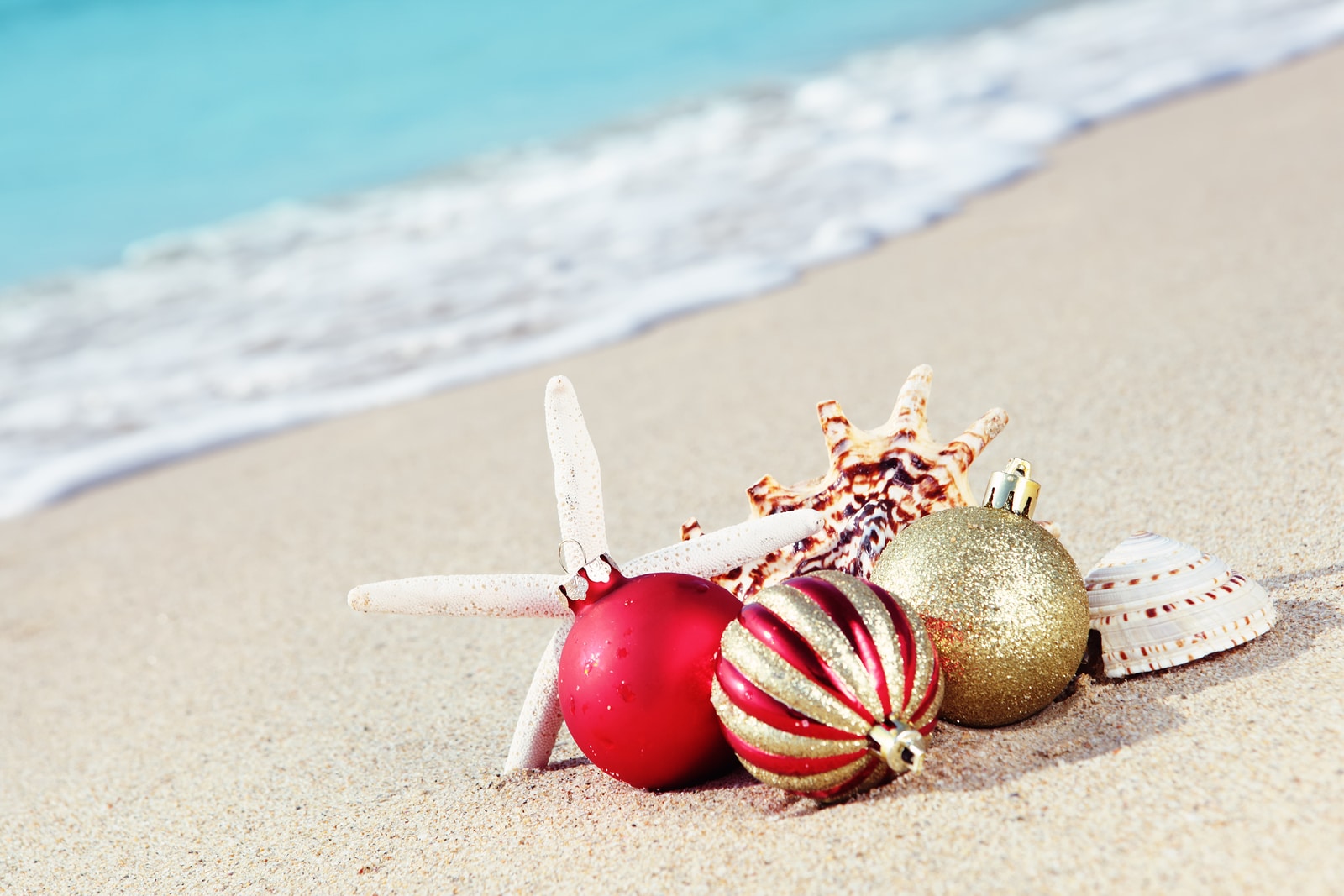 Explorers Travelers Club comparte algunas celebraciones navideñas en el Caribe.