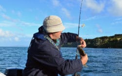 Marina Fiesta anuncia que la temporada fuerte de pesca en Cabo, está a punto de comenzar