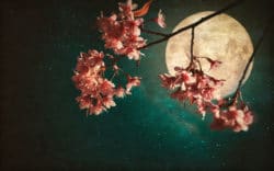 Abril 11: El día de hoy no olvides admirar la hermosa luna rosa
