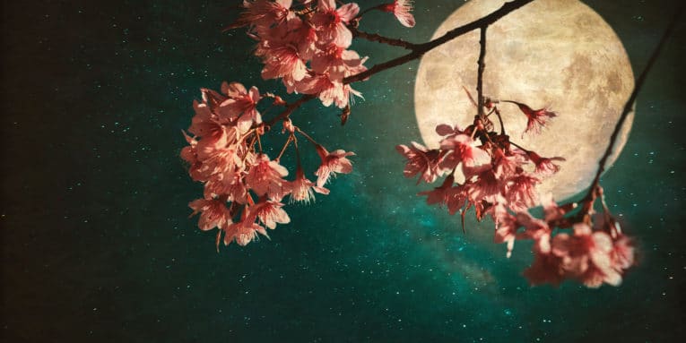 Abril 11: El día de hoy no olvides admirar la hermosa luna rosa