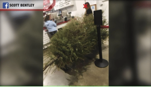 Mujer en Costco Devuelve Árbol de Navidad y le Reembolsan su Dinero