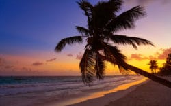 Krystal Cancun Tiempo Compartido: Vacaciones de Lujo