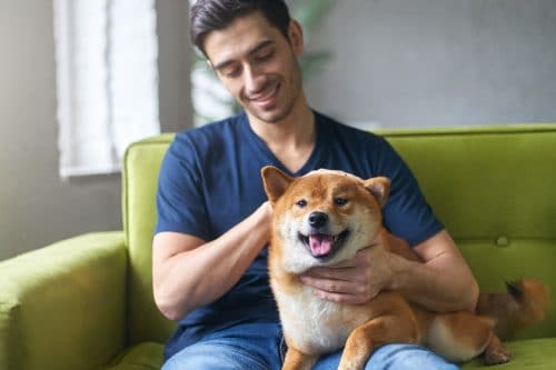 Descubre los beneficios de las Mascotas en la Salud