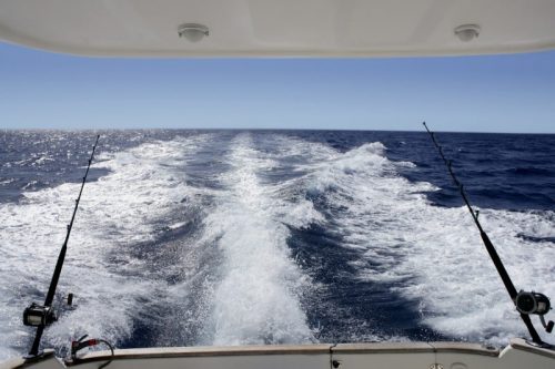 Los Cabos Razones para Visitarlo y Practicar La Pesca Deportiva. Yate Los Cabos