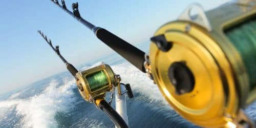 los cabos fishing tournament 2018, bisbee cabo 2018, cabo fishing tournament 2018, los cabos offshore tournament, bisbee tournament cabo 2018, los cabos tuna jackpot 2018, bisbee fishing cabo 2018, cabo fishing tournament october 2018
