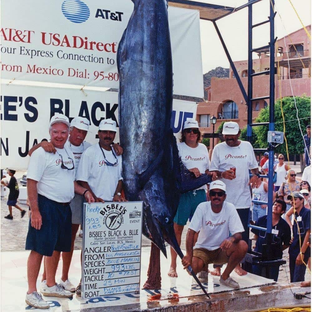 Los Más Importantes Torneos de pesca en Los Cabos 2018