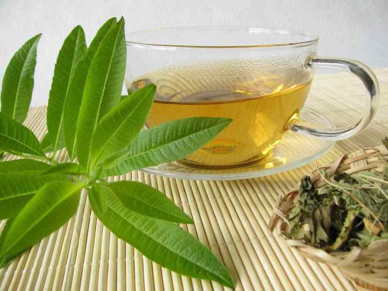 Propiedades y Beneficios del Té de Verbena Limón para la Salud