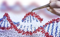 genoma humano desventajas, relacion entre el adn y el cancer, beneficios del genoma humano, riesgos de la manipulacion del genoma humano, desventajas de la manipulacion del genoma humano, aplicaciones del genoma humano, problemas del genoma humano, problemas eticos del genoma humano