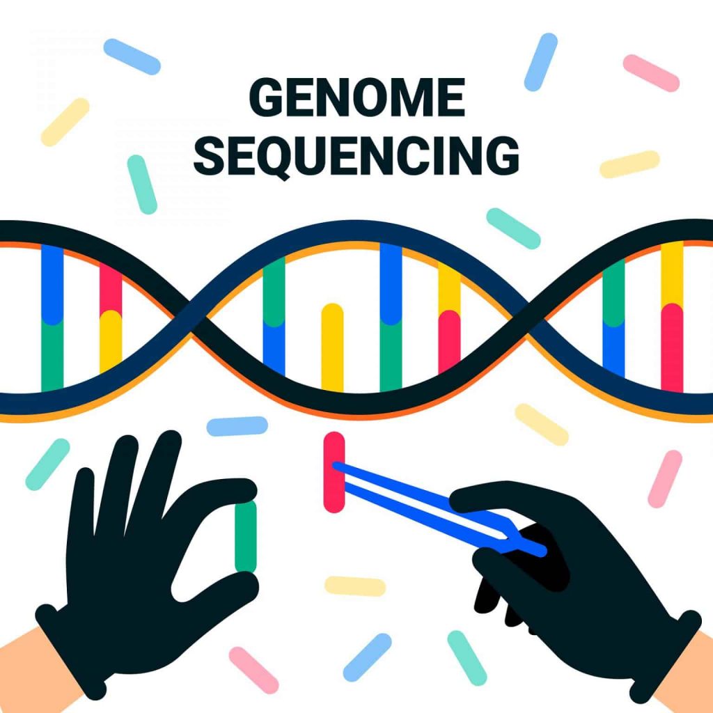 genoma humano desventajas, relacion entre el adn y el cancer, beneficios del genoma humano, riesgos de la manipulacion del genoma humano, desventajas de la manipulacion del genoma humano, aplicaciones del genoma humano, problemas del genoma humano, problemas eticos del genoma humano