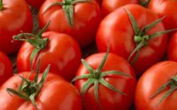 beneficios del tomate, propiedades del tomate crudo, beneficios del tomate para la piel, beneficios del tomate para el hombre