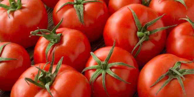 beneficios del tomate, propiedades del tomate crudo, beneficios del tomate para la piel, beneficios del tomate para el hombre