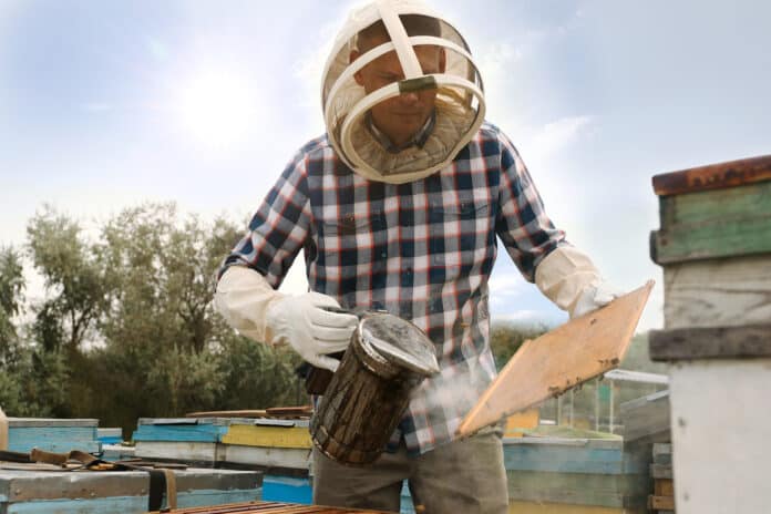 equipo de protección y manejo de apicultura, 5 herramientas de apicultura, materiales de apicultura usados, herramientas que utiliza el apicultor